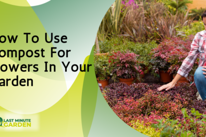 How To Use Compost For Flowers In Your Garden