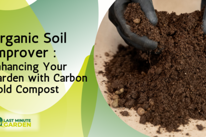 Enhancing Your Garden with Carbon Gold Compost