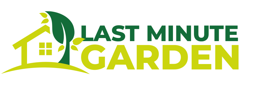 Last Minute Garden