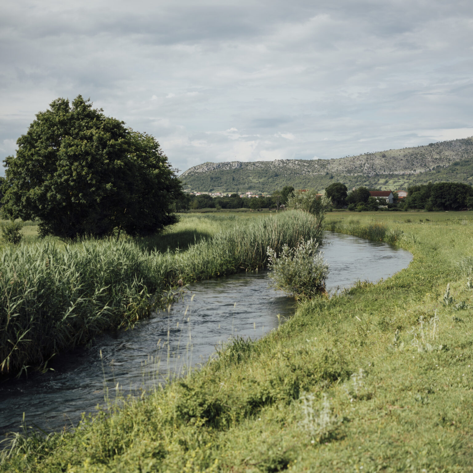 grassed waterways on farmland