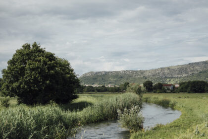 grassed waterways on farmland