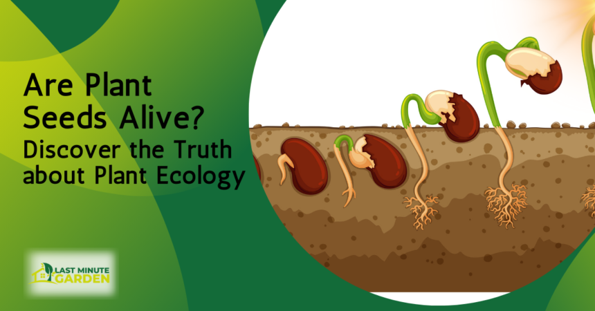 Are Plant Seeds Alive? seeds germinating in soil