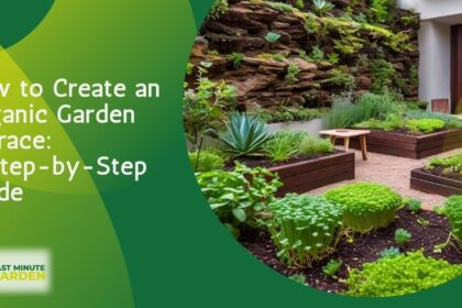 How to Create an Organic Garden Terrace: plants in a garden