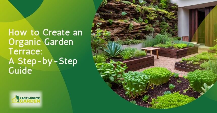 How to Create an Organic Garden Terrace: plants in a garden