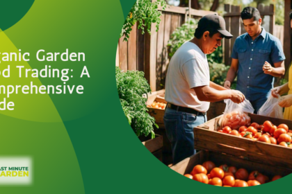 Organic Garden Food Trading: A Comprehensive Guide