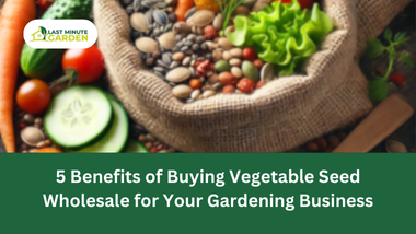 Benefits of vegetable seed wholesale for your gardening business