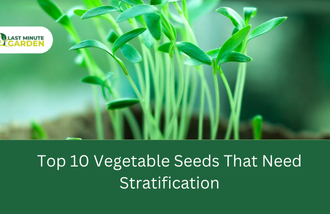 vegetable seeds that need stratification