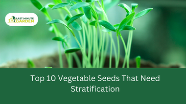 vegetable seeds that need stratification