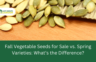 Fall vegetable seed for sale
