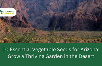 Vegetable Seeds for Arizona