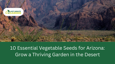 Vegetable Seeds for Arizona