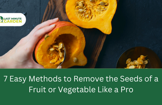 Methods to remove seeds of a fruit or vegetable