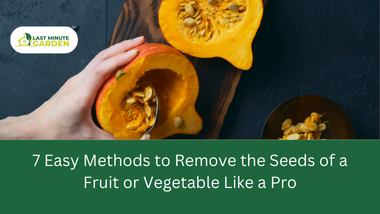 Methods to remove seeds of a fruit or vegetable