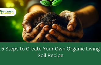 organic living spoil recipe