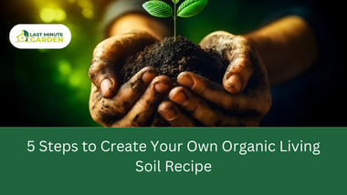 organic living spoil recipe