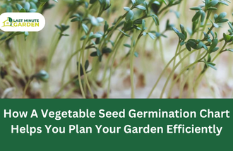 vegetable seed germination chart