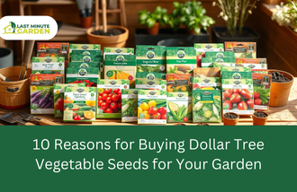 Dollar Tree Vegetable seeds