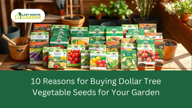 Dollar Tree Vegetable seeds