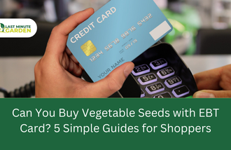 Can You Buy Vegetable Seeds with EBT Card? 5 Simple Guides for Shoppers