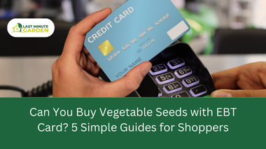 Can You Buy Vegetable Seeds with EBT Card? 5 Simple Guides for Shoppers