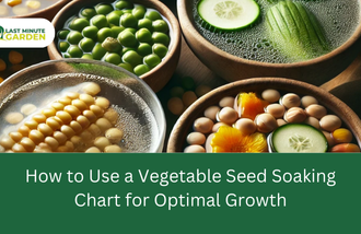 Vegetable seed soaking chart