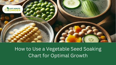 Vegetable seed soaking chart