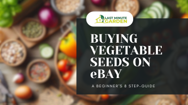 Buying Vegetable seeds on eBay