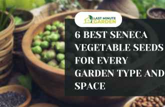 Seneca vegetable seeds in a bowl