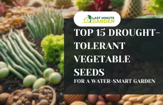 Drought-tolerant vegetable seeds in a garden