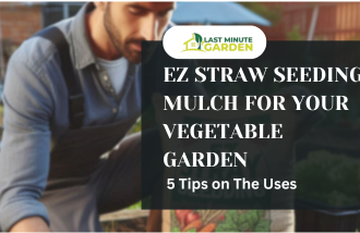 EZ straw seeding mulch for vegetable garden