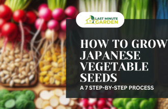 How to Grow Japanese Vegetable Seeds: A 7 Step-by-Step Process