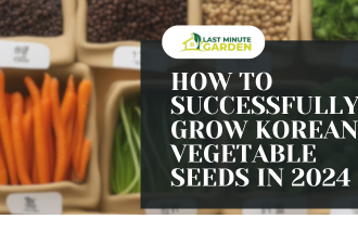 How to Successfully Grow Korean Vegetable Seeds in 2024