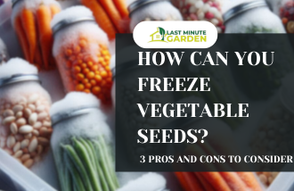 Can you freeze vegetable seeds?