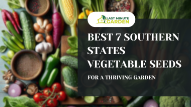 Southern States vegetable seeds