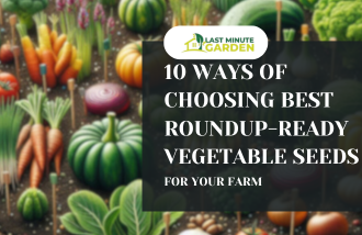 Roundup-ready vegetable seeds