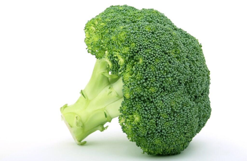 Broccoli, one of the best vegetable seeds for winter sowing