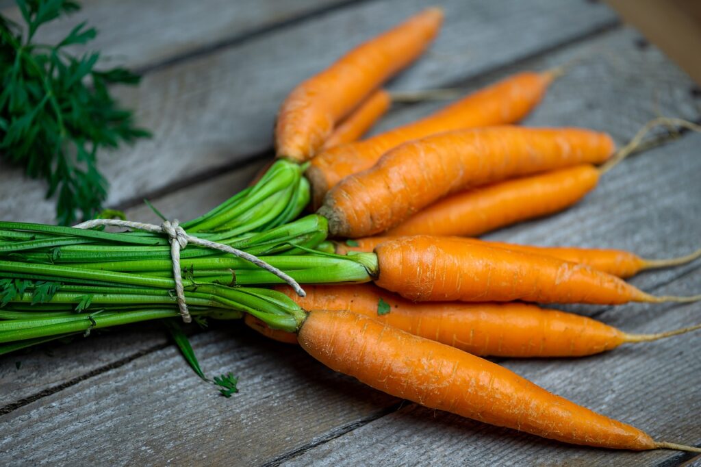 Carrot, one of the best vegetable seeds for winter sowing