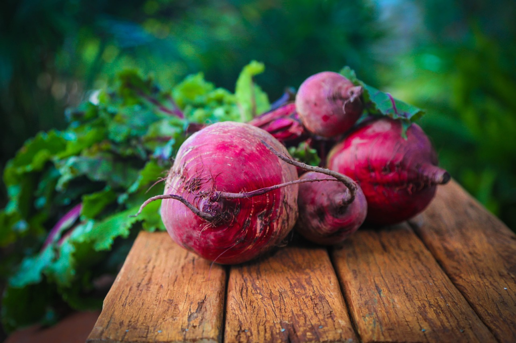 beet vegetable seed that need stratification