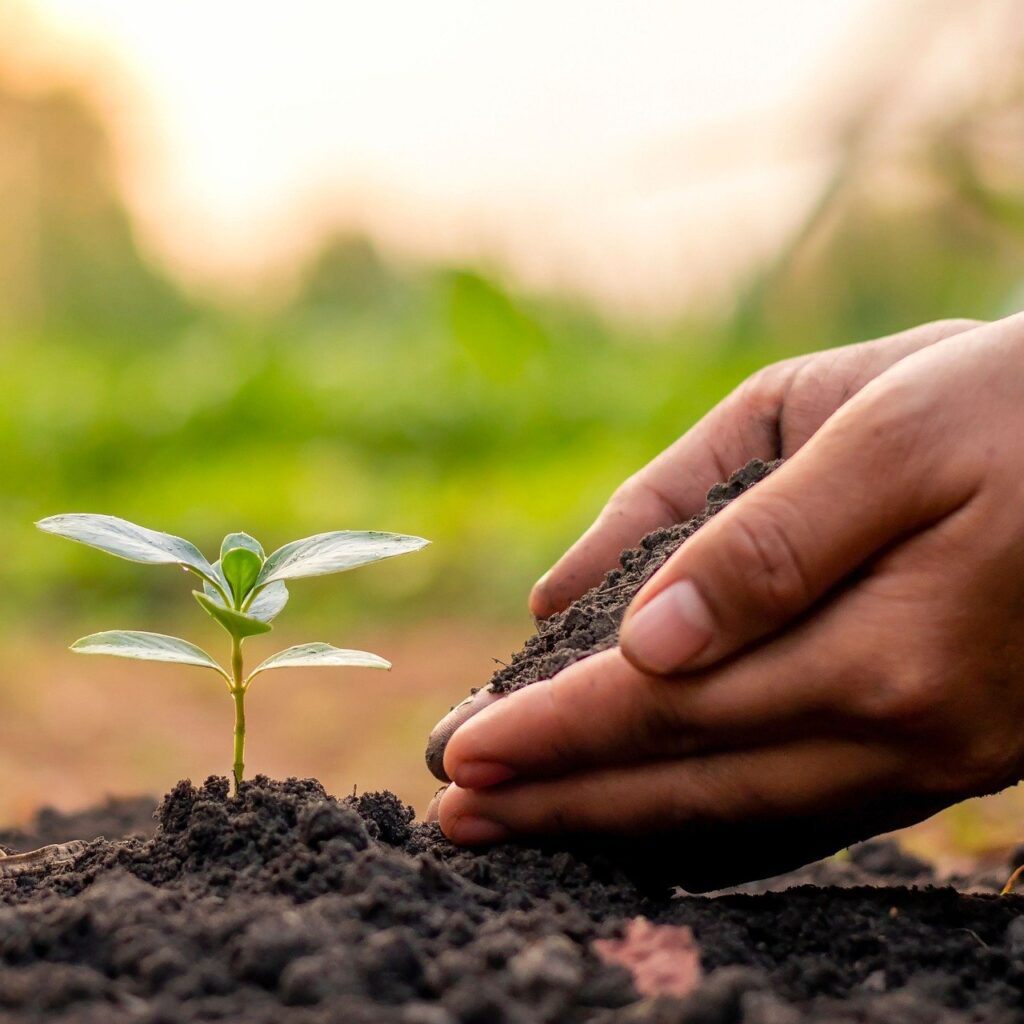 An image of an organic living soil recipe
