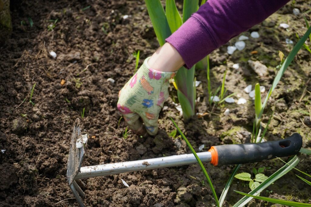 Application of  organic pre-emergent herbicide
