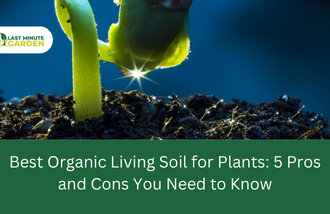 Best organic living soil