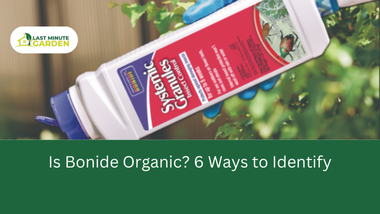 Is Bonide Organic