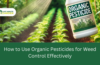 Organic Pesticides for weed control