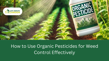 Organic Pesticides for weed control