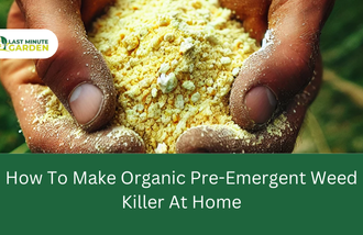 Organic Pre-Emergent Weed Killer