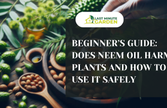 Organic Pesticides for weed control