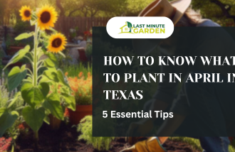 What to plant in April in Texas, a man planting