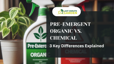 Pre-emergent organic