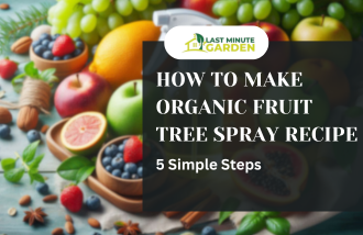 Organic Fruit Tree Spray Recipe