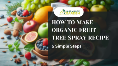 Organic Fruit Tree Spray Recipe